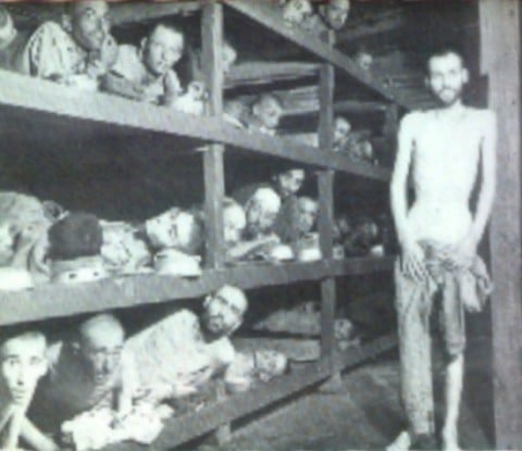 How I helped liberate Dachau camp (part 2)